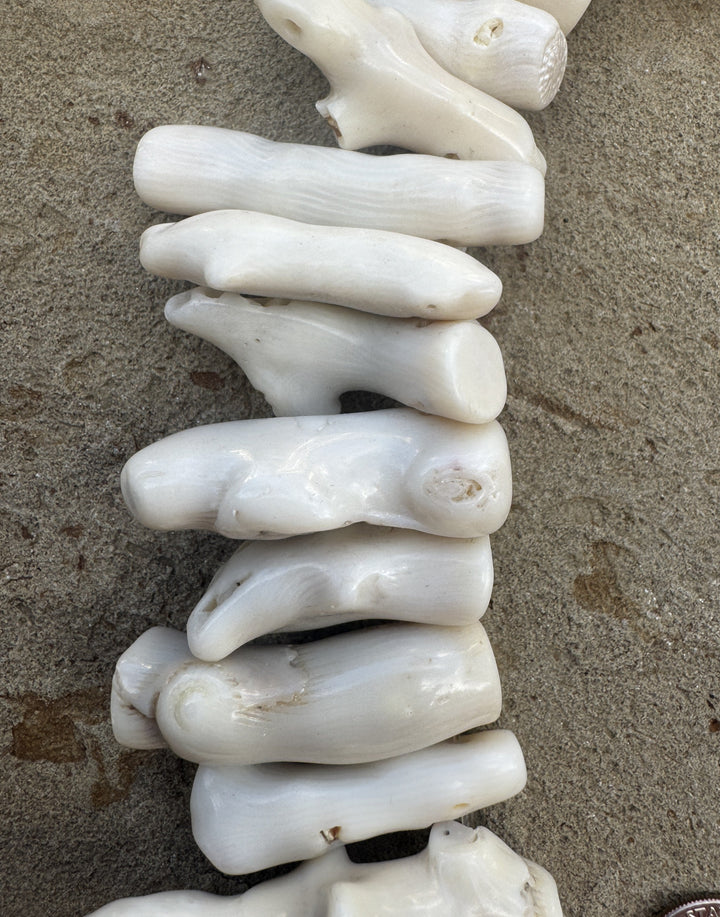 100% Natural VINTAGE White Branch Coral (Taiwan) BIG 16
