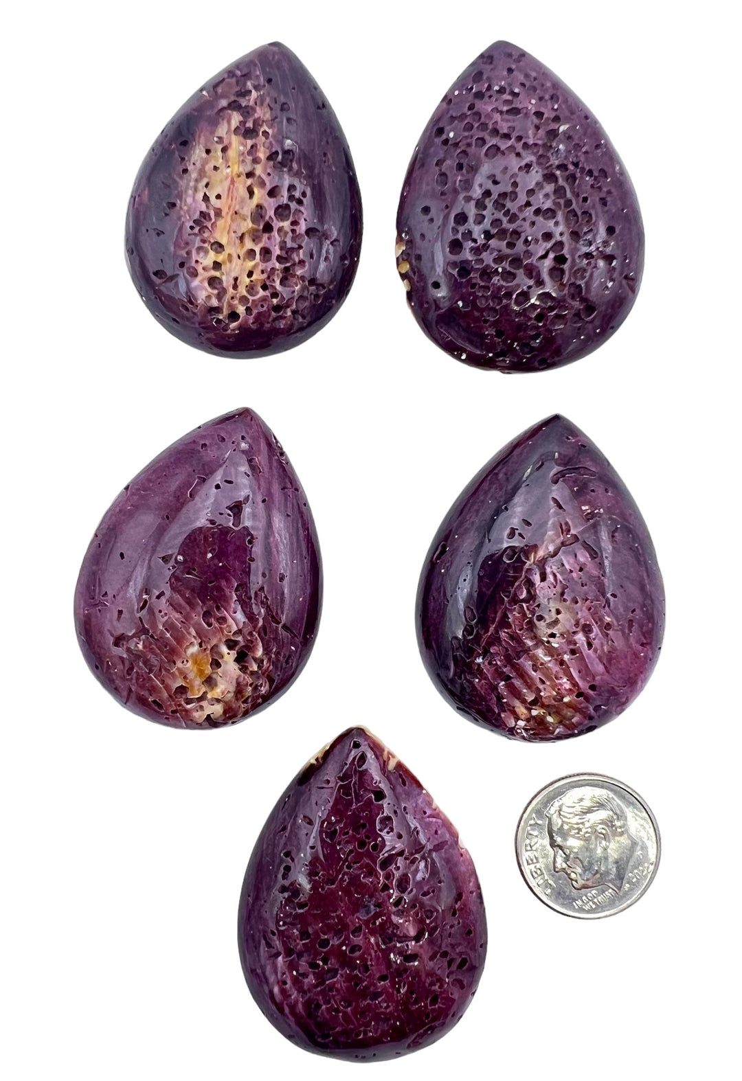 RARE Dark Purple Spiny Oyster 30x40mm Teardrop Shaped