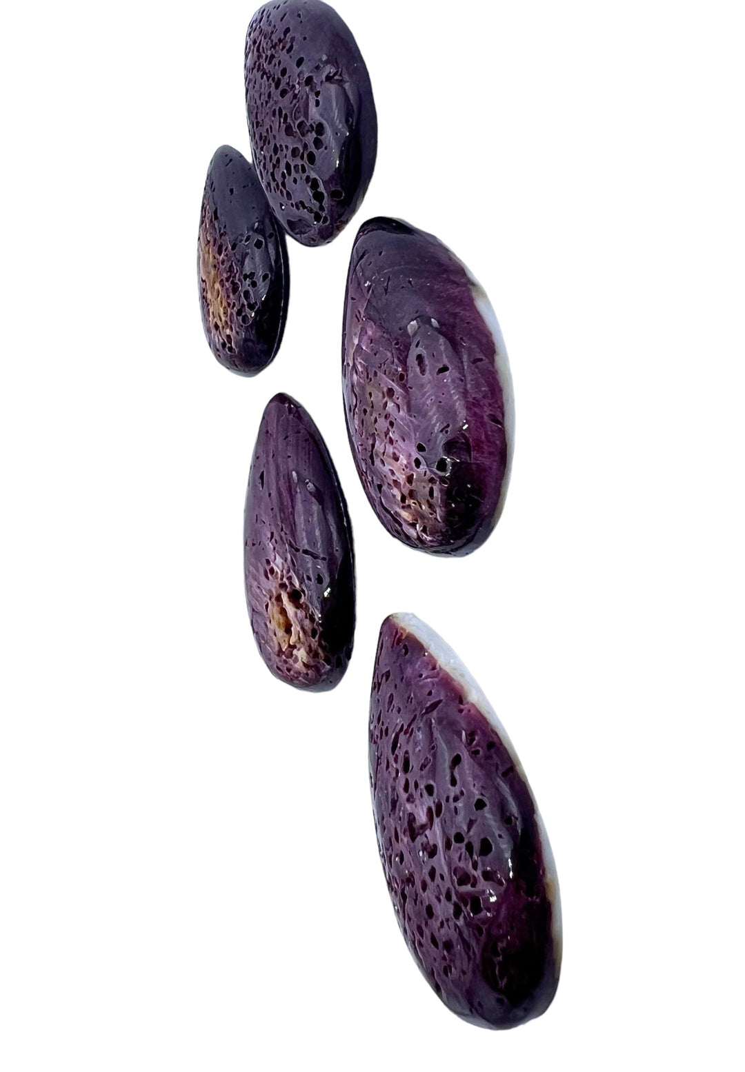 RARE Dark Purple Spiny Oyster 30x40mm Teardrop Shaped