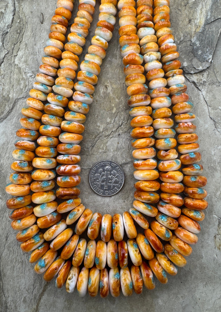 Orange Spiny Oyster with Turquoise Inlay BIG Graduated 6-12mm Rondelle Beads, 16 inch Strand