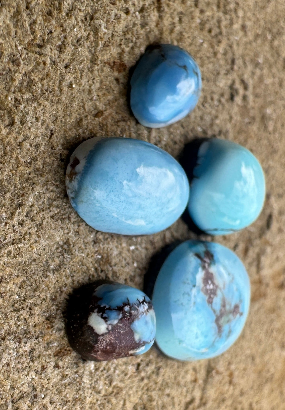 RARE Golden Hills Turquoise  (Kazakhstan) Mini Cabochons Set of 5 Cabs