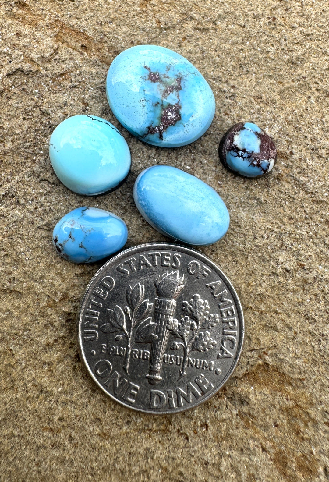 RARE Golden Hills Turquoise  (Kazakhstan) Mini Cabochons Set of 5 Cabs