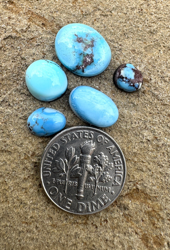 RARE Golden Hills Turquoise  (Kazakhstan) Mini Cabochons Set of 5 Cabs