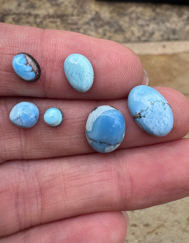 RARE Golden Hills Turquoise  (Kazakhstan) Mini Cabochons Set of 6 Cabs