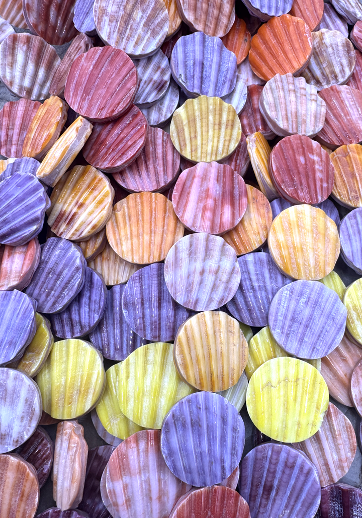 Natural Pecten Shell 19mm Coin Beads, 8 inch Strand/10 Beads