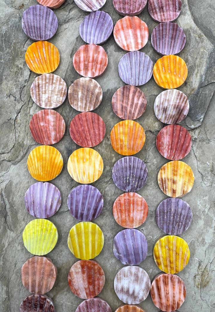 Natural Pecten Shell 19mm Coin Beads, 8 inch Strand/10 Beads