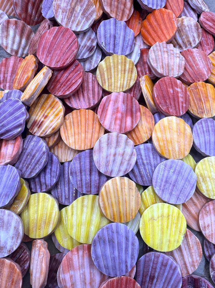 Natural Pecten Shell 19mm Coin Beads, 8 inch Strand/10 Beads