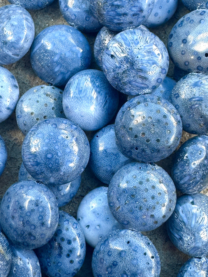 Natural Blue Sponge Coral 12mm Puffed Coin Beads, 16 inch Strands