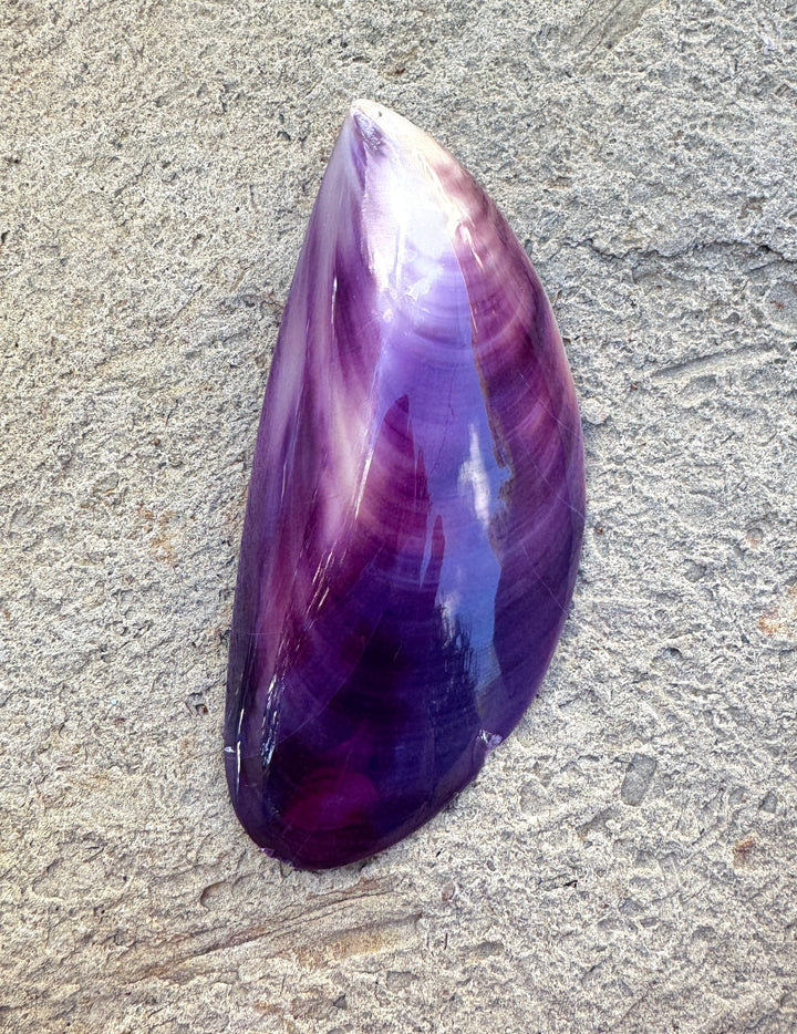 CLOSEOUT/Purple Wampum/Quahog Shell Giant Focal Pendant 43x95mm, See Pic for Chip/Damage