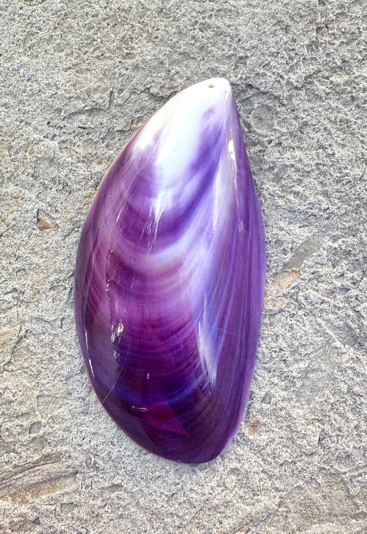 Purple Wampum/Quahog Shell Giant Focal Pendant 43x84mm