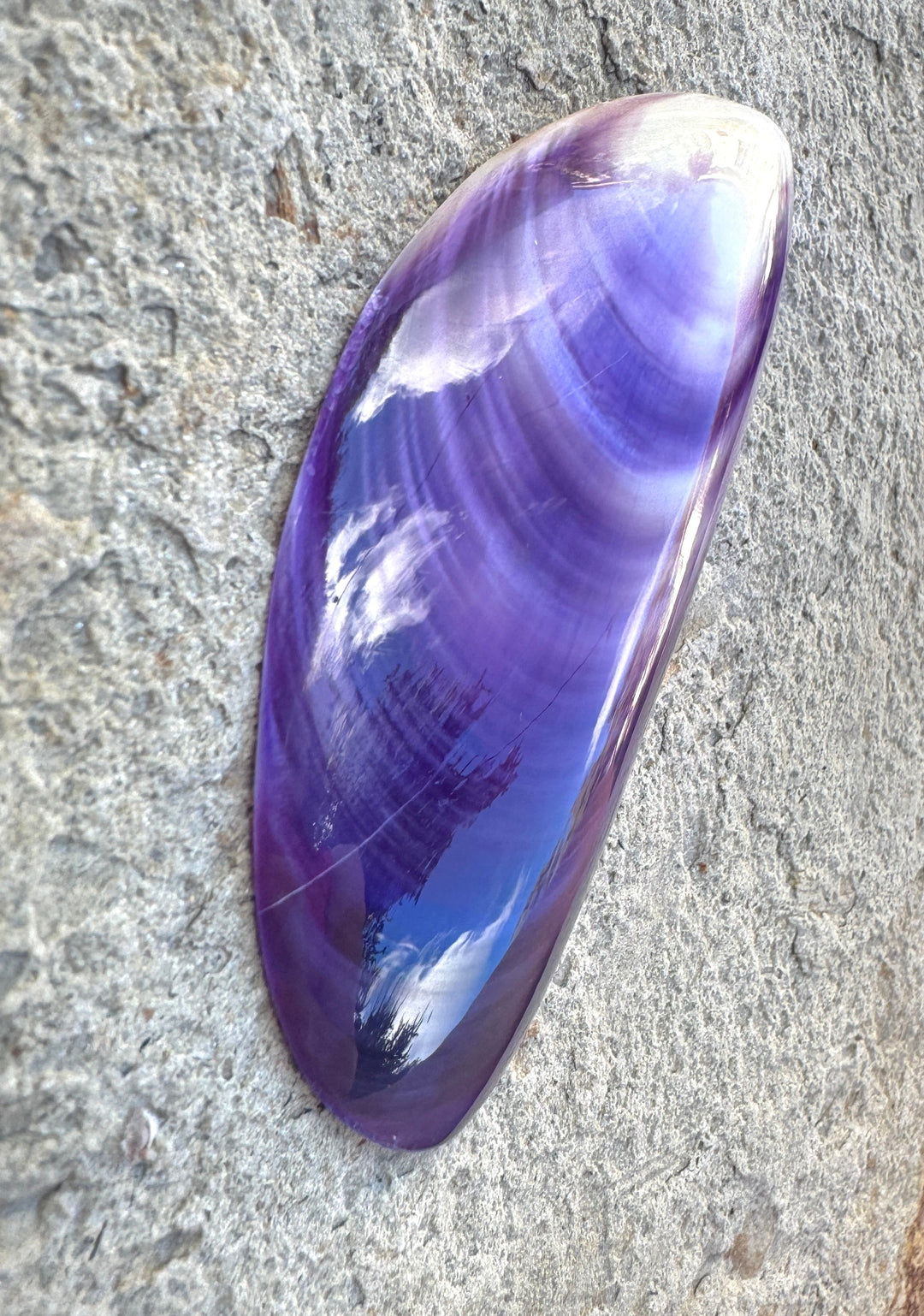 Purple Wampum/Quahog Shell Giant Focal Pendant 43x84mm