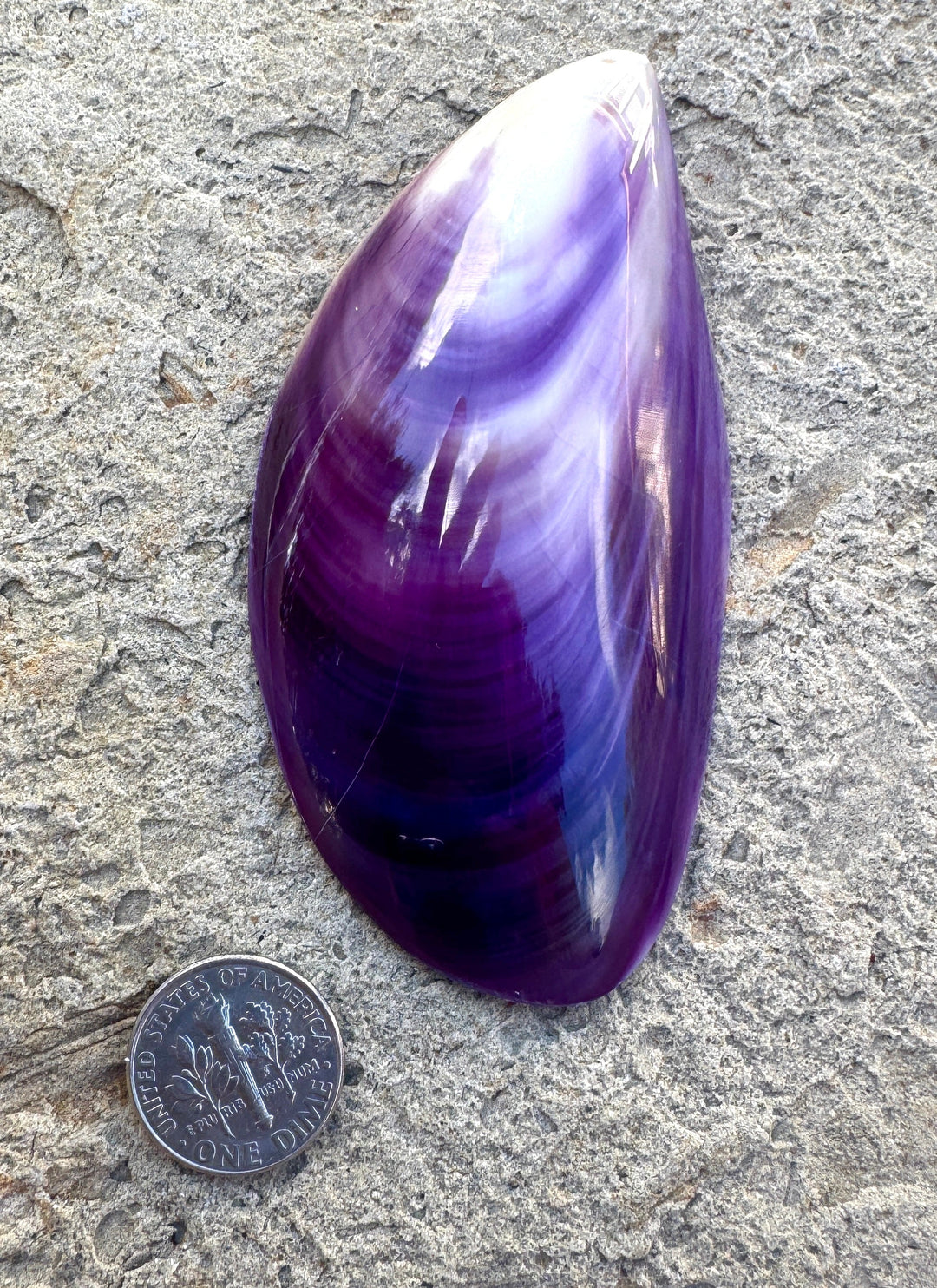 Purple Wampum/Quahog Shell Giant Focal Pendant 43x84mm