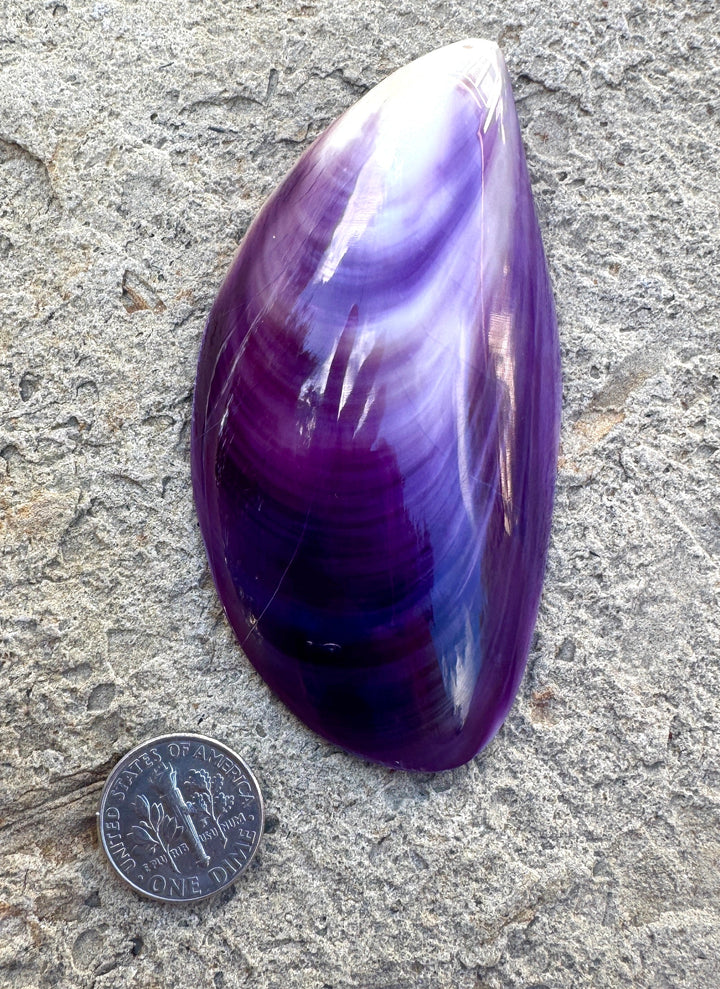 Purple Wampum/Quahog Shell Giant Focal Pendant 43x84mm