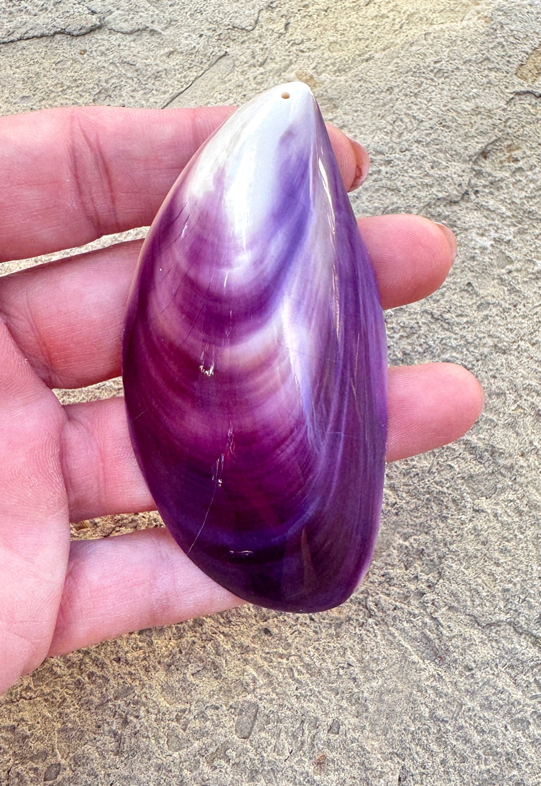 Purple Wampum/Quahog Shell Giant Focal Pendant 43x84mm