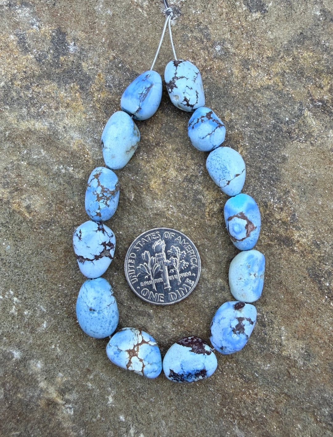 AA+ RARE Golden Hills Turquoise (Kazakhstan) Large Rounded