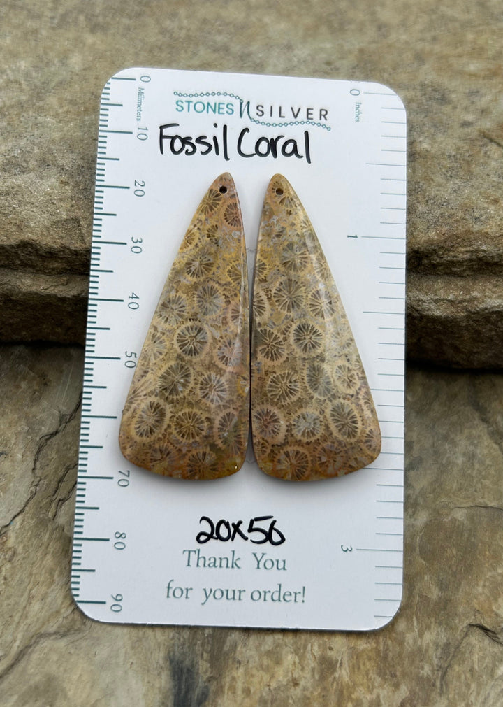 AAA+ Fossil Coral BIG Matching Earring Slab Bead Pair
