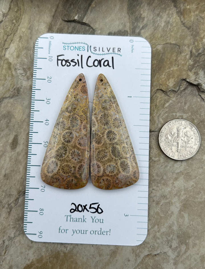 AAA+ Fossil Coral BIG Matching Earring Slab Bead Pair