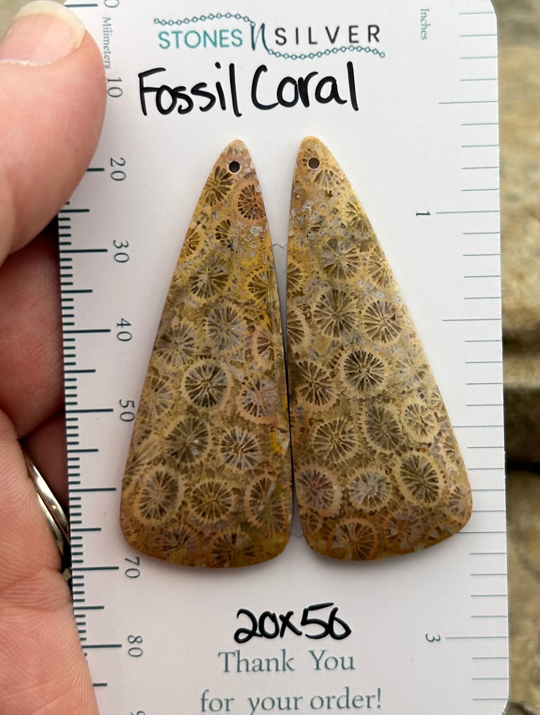 AAA+ Fossil Coral BIG Matching Earring Slab Bead Pair