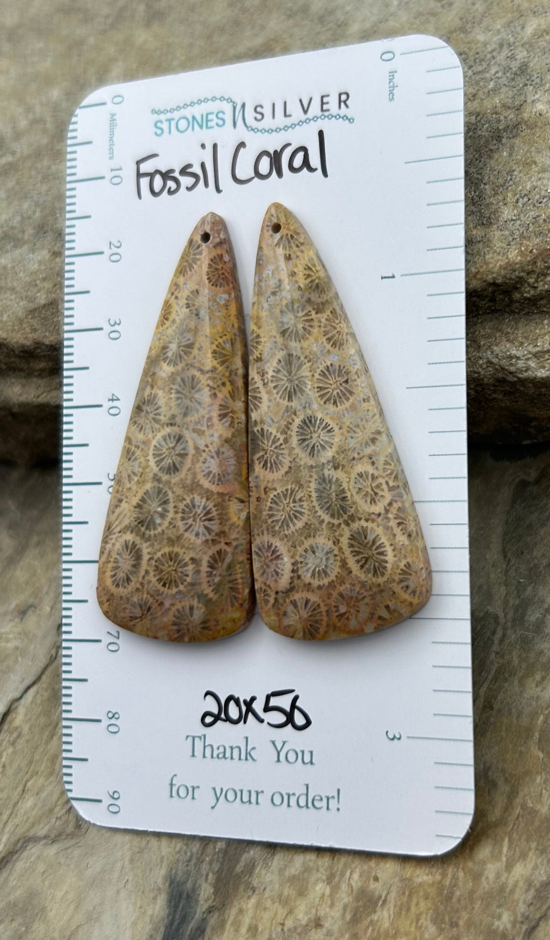 AAA+ Fossil Coral BIG Matching Earring Slab Bead Pair