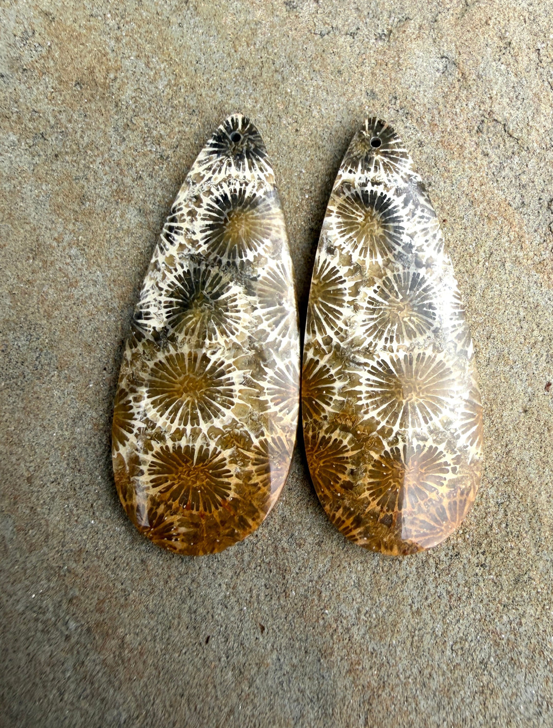 AAA+ Fossil Coral BIG Matching Earring Slab Bead Pair