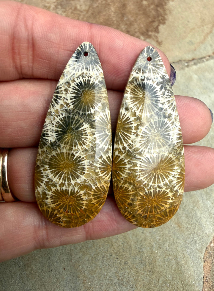 AAA+ Fossil Coral BIG Matching Earring Slab Bead Pair