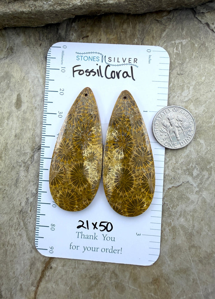 AAA+ Fossil Coral BIG Matching Earring Slab Bead Pair