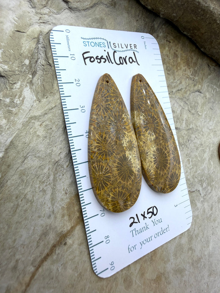 AAA+ Fossil Coral BIG Matching Earring Slab Bead Pair