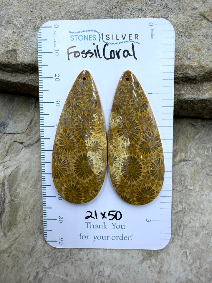 AAA+ Fossil Coral BIG Matching Earring Slab Bead Pair