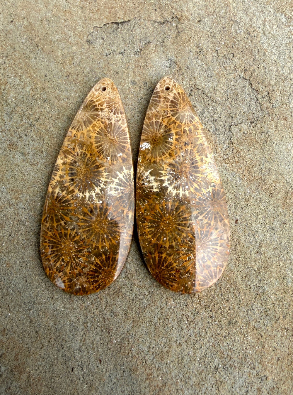 AAA+ Fossil Coral BIG Matching Earring Slab Bead Pair
