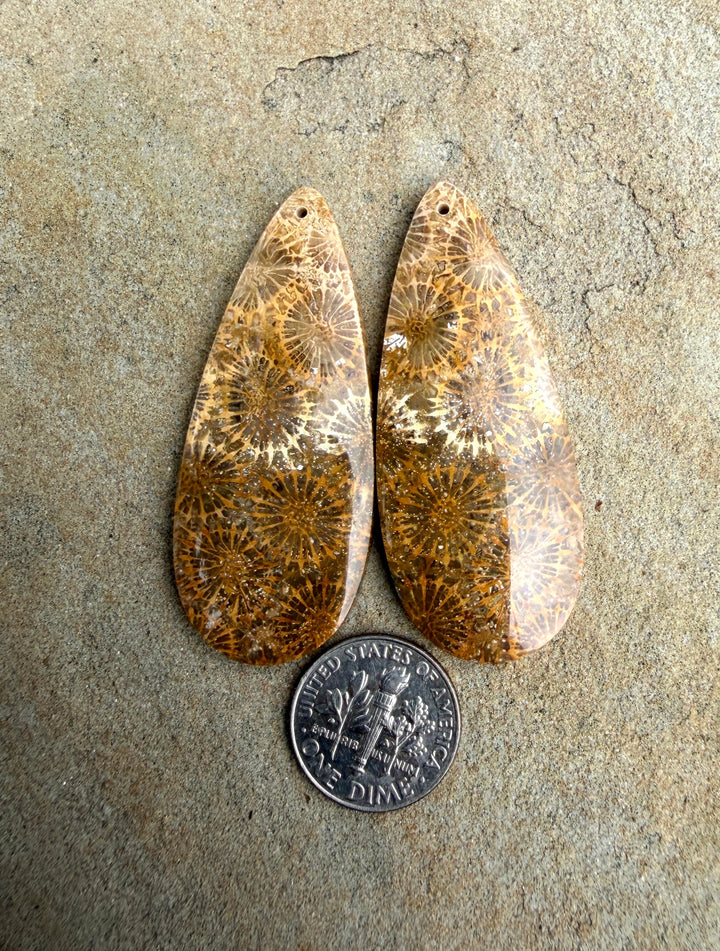 AAA+ Fossil Coral BIG Matching Earring Slab Bead Pair