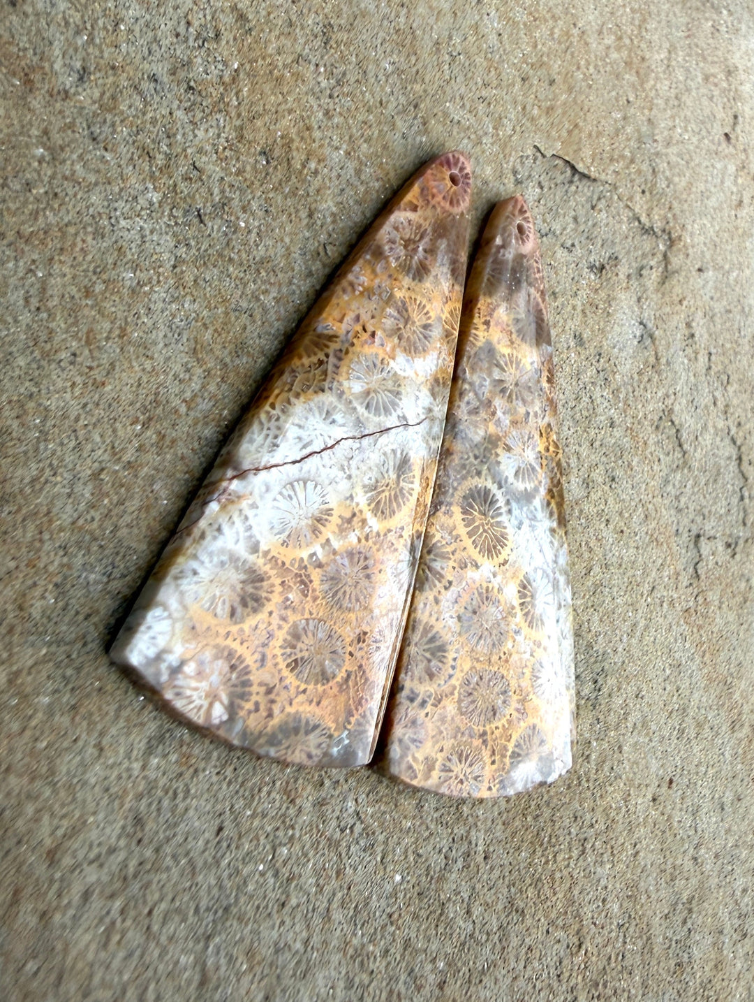 AAA+ Fossil Coral BIG Matching Earring Slab Bead Pair