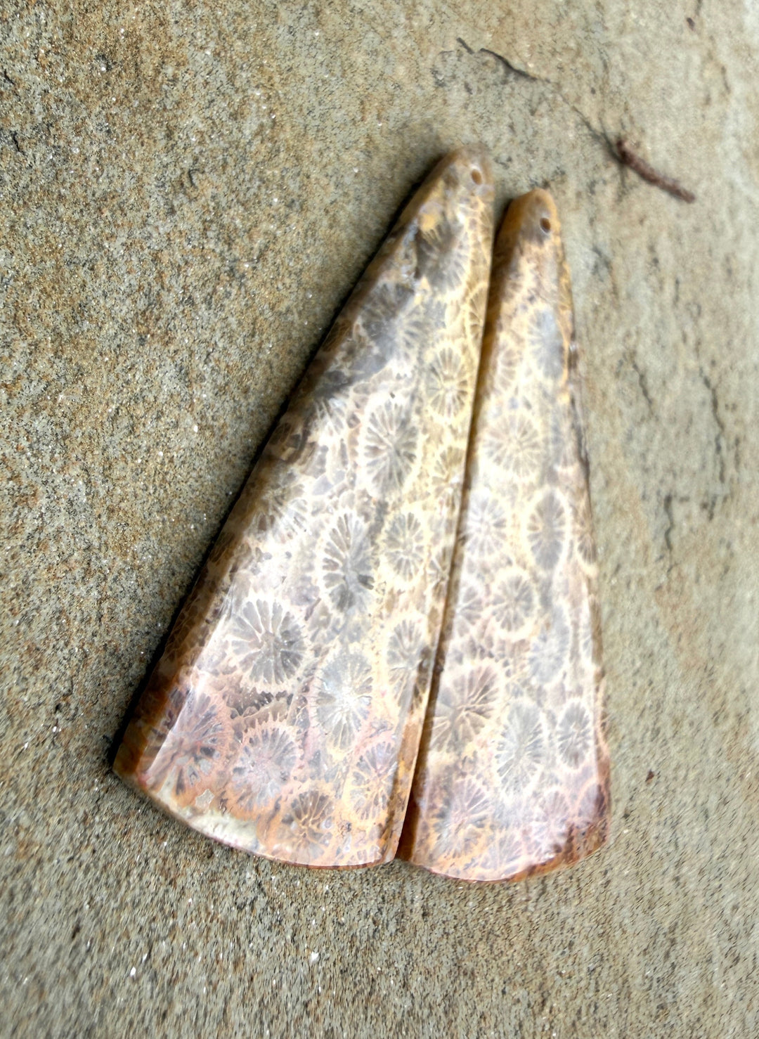 AAA+ Fossil Coral BIG Matching Earring Slab Bead Pair