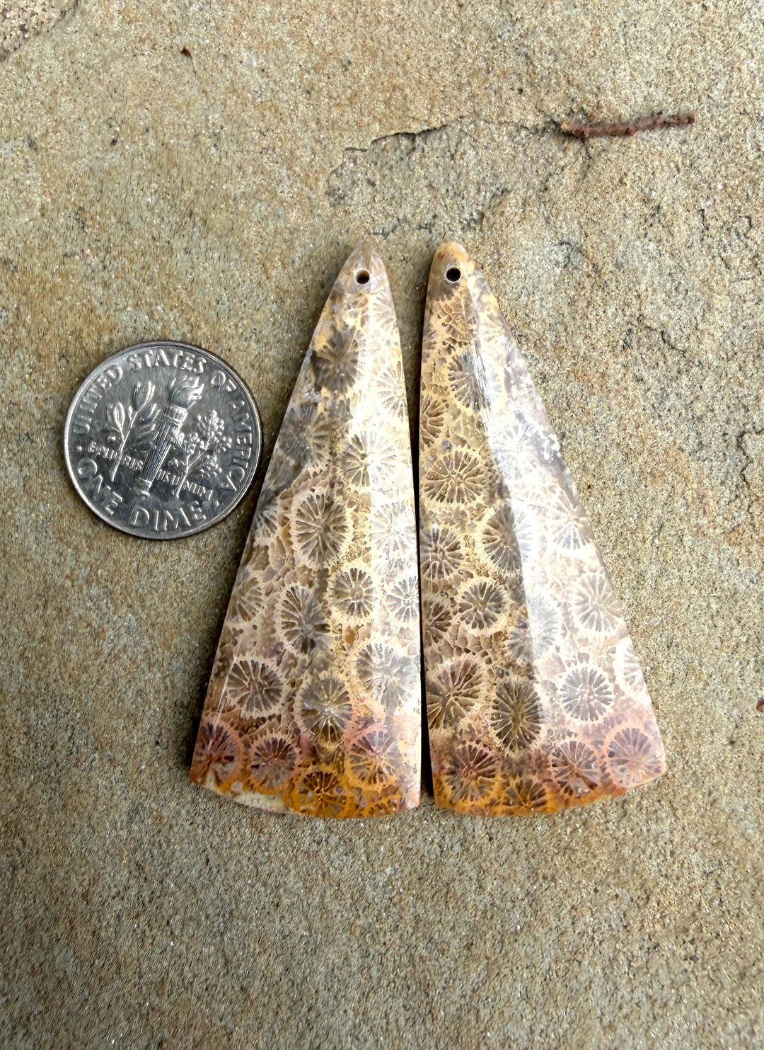 AAA+ Fossil Coral BIG Matching Earring Slab Bead Pair