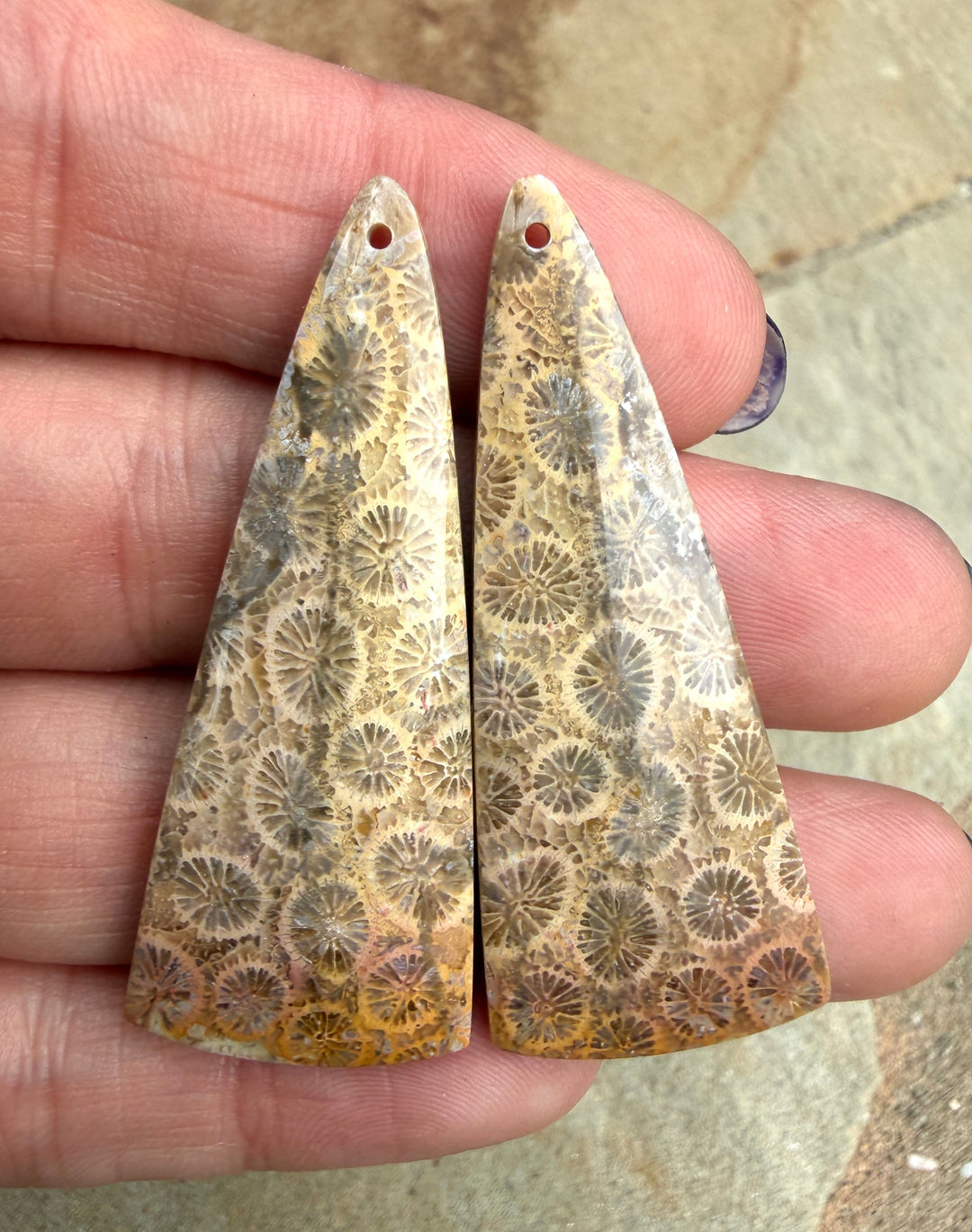 AAA+ Fossil Coral BIG Matching Earring Slab Bead Pair