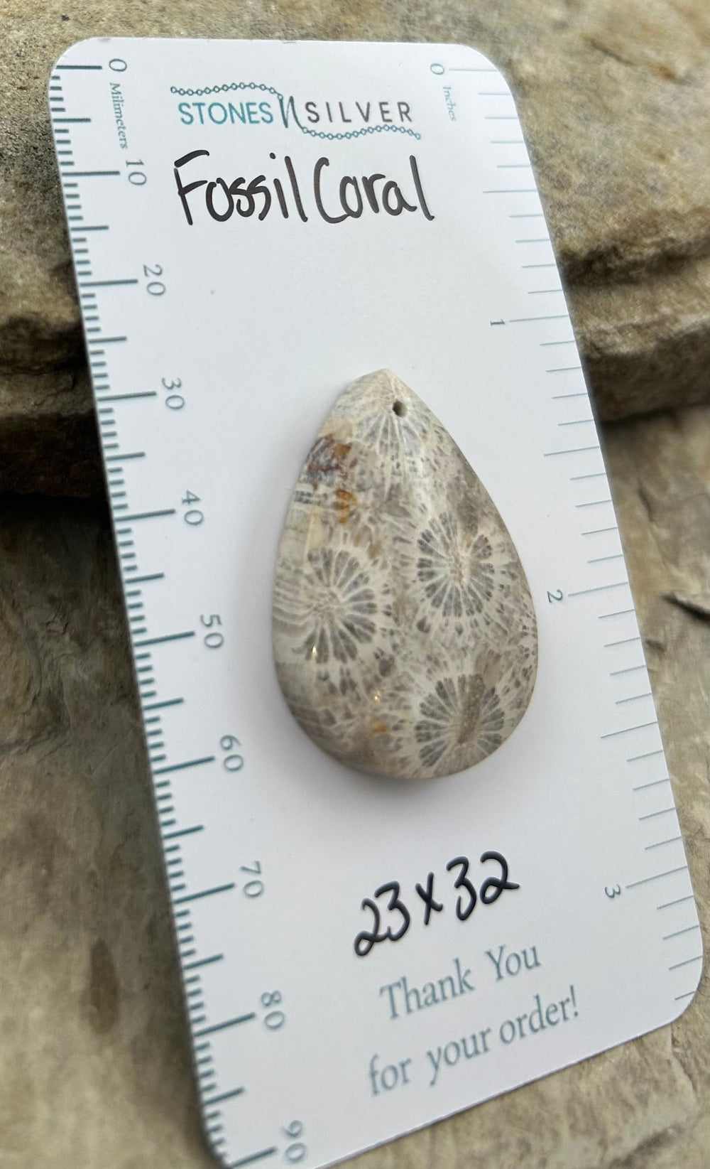 AAA+ Fossil Coral Focal Pendant Bead 23x32mm - Fossil Coral