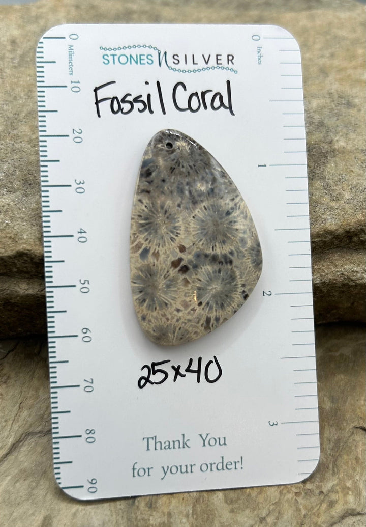 AAA+ Fossil Coral Focal Pendant Bead 25x40mm - Fossil Coral