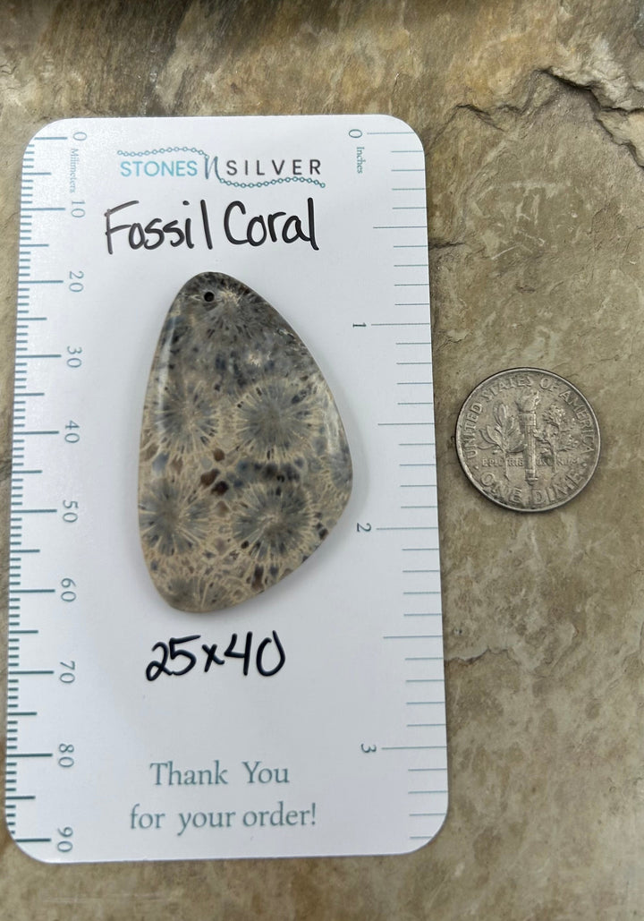 AAA+ Fossil Coral Focal Pendant Bead 25x40mm - Fossil Coral