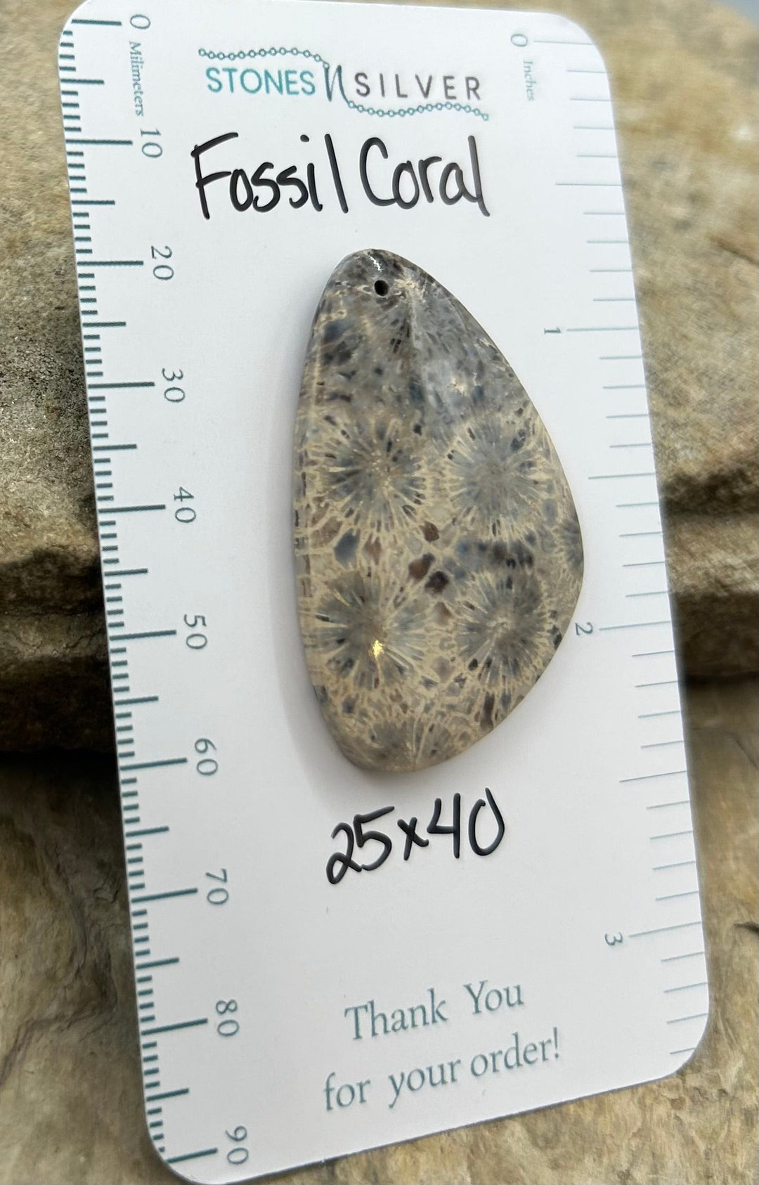 AAA+ Fossil Coral Focal Pendant Bead 25x40mm - Fossil Coral