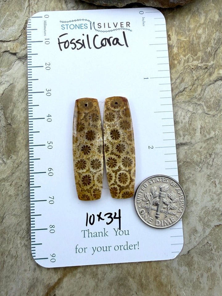AAA+ Fossil Coral Matching Earring Slab Bead Pair 10x34mm