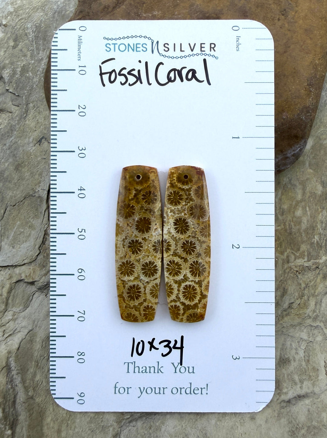 AAA+ Fossil Coral Matching Earring Slab Bead Pair 10x34mm