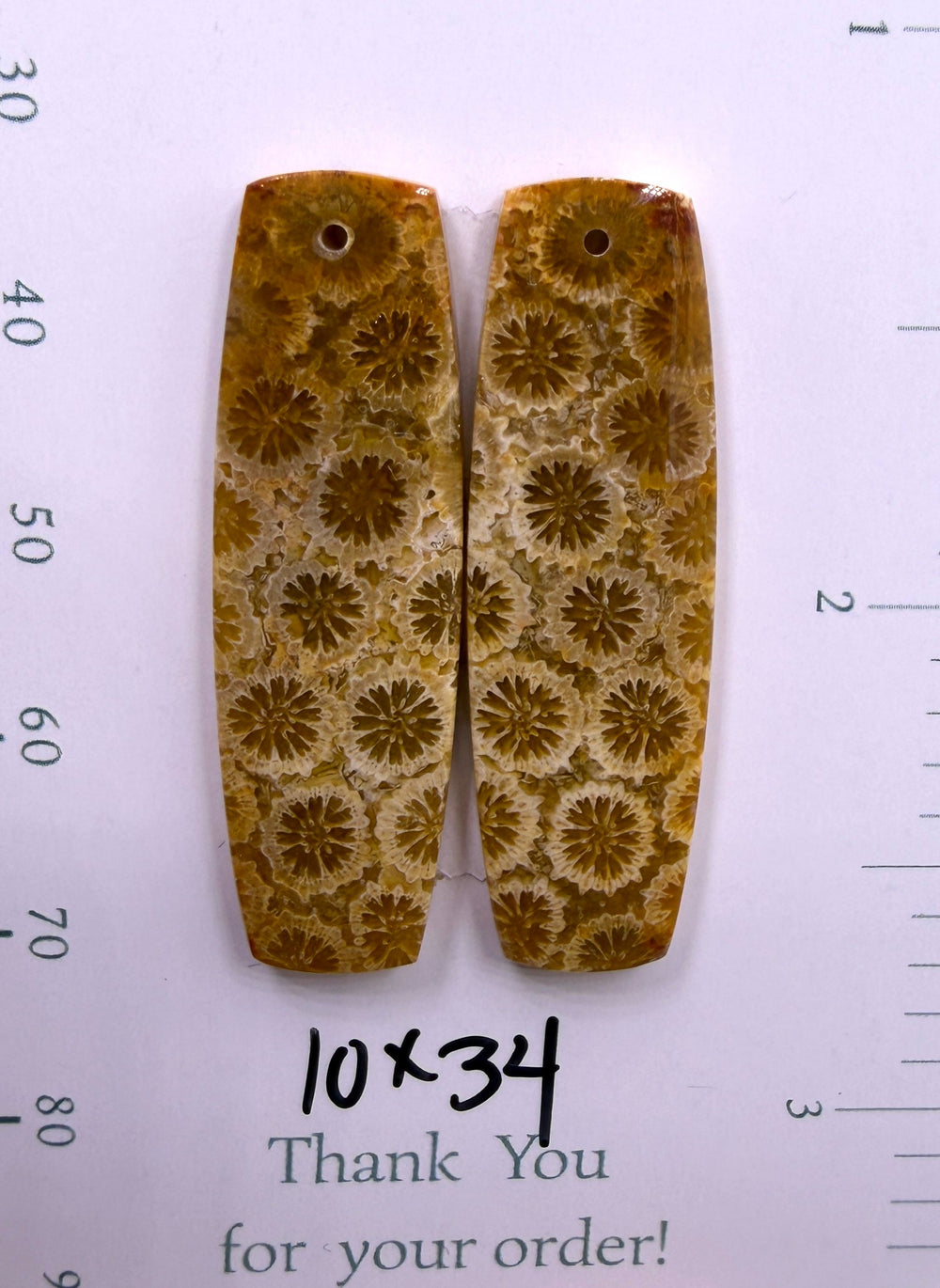 AAA+ Fossil Coral Matching Earring Slab Bead Pair 10x34mm