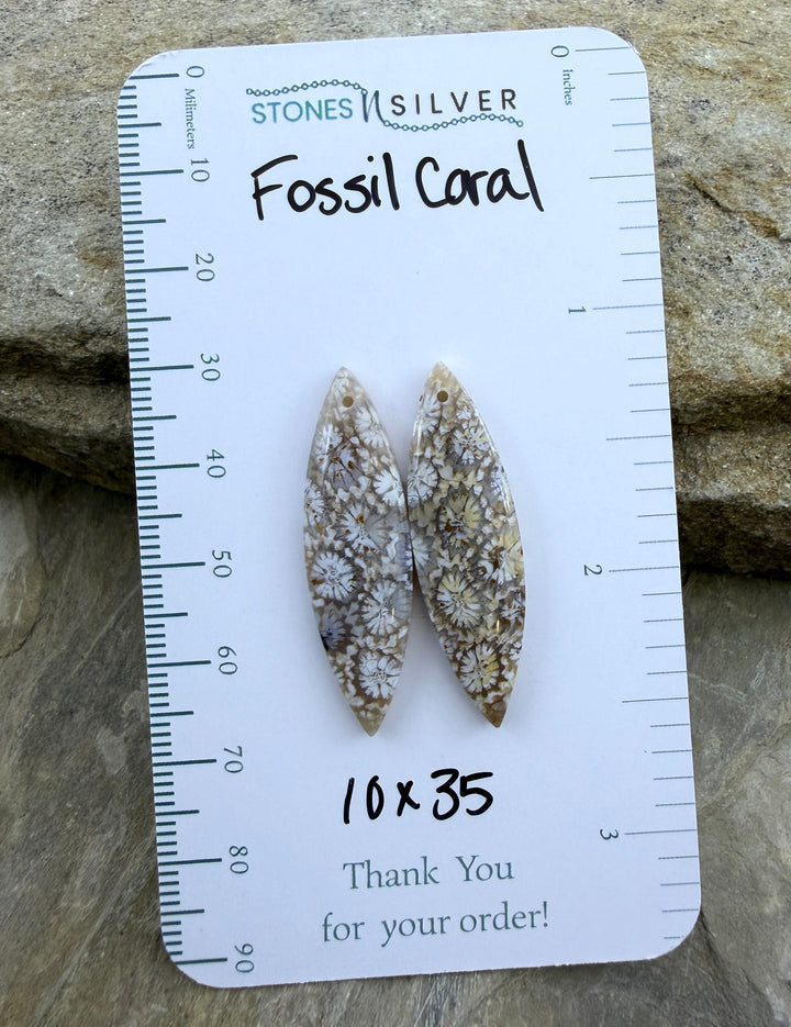 AAA+ Fossil Coral Matching Earring Slab Bead Pair 10x35mm