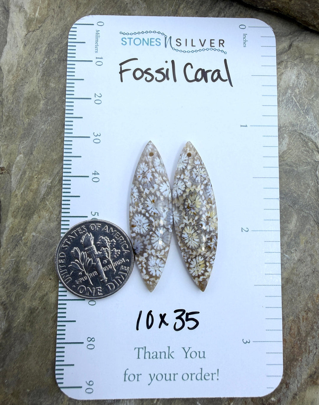 AAA+ Fossil Coral Matching Earring Slab Bead Pair 10x35mm