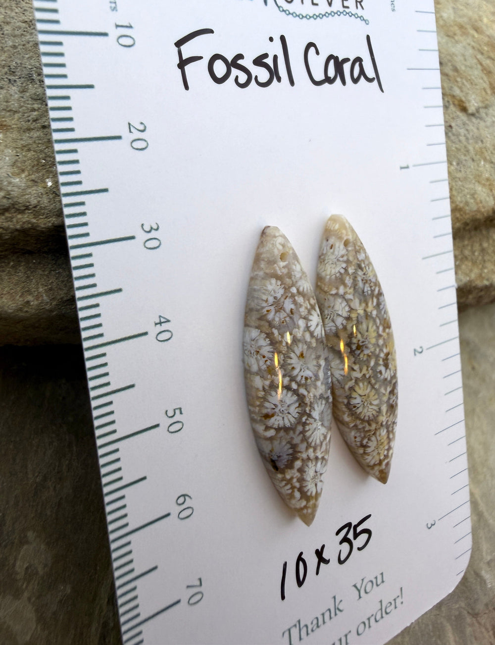 AAA+ Fossil Coral Matching Earring Slab Bead Pair 10x35mm