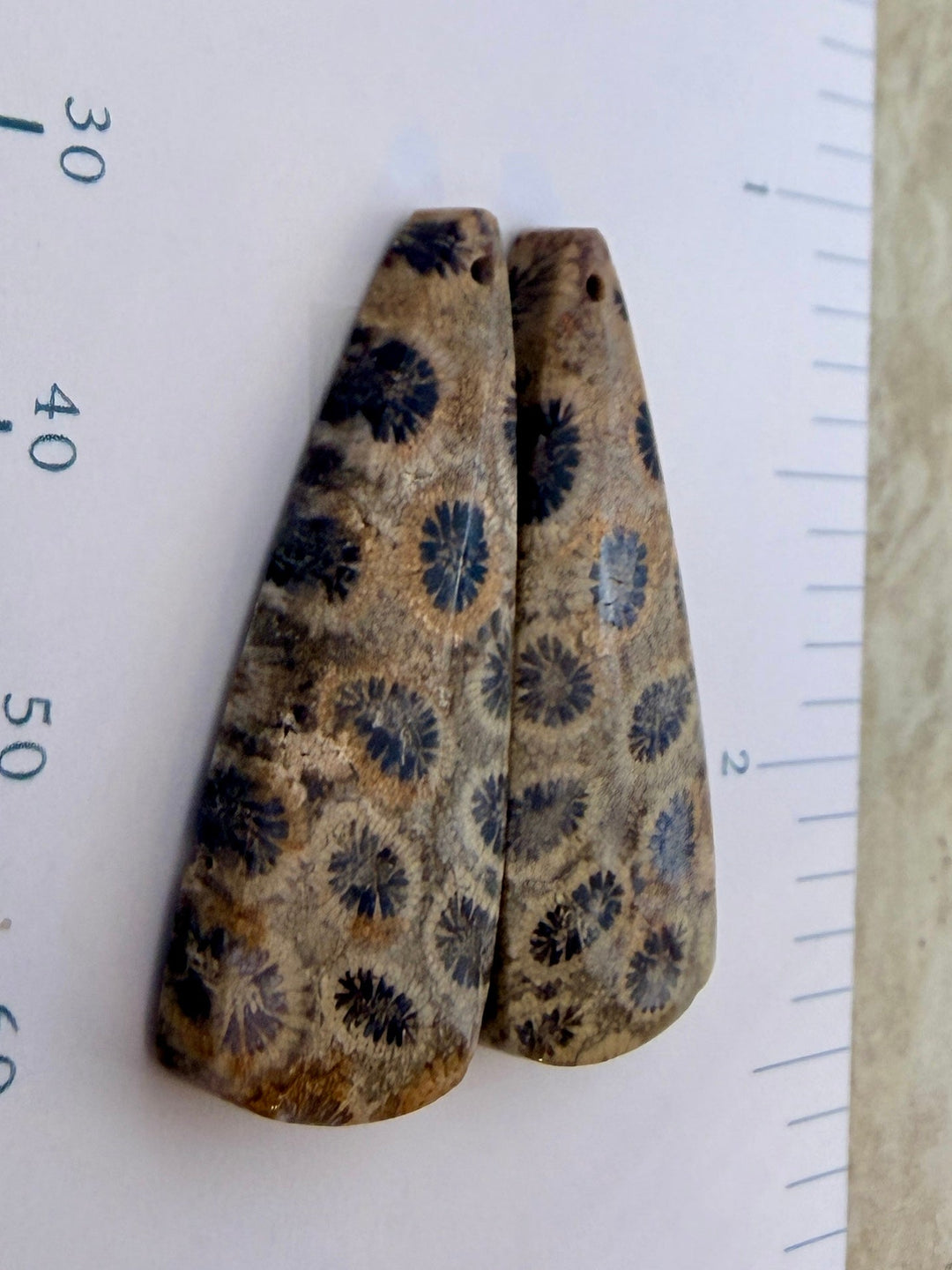 AAA+ Fossil Coral Matching Earring Slab Bead Pair 11x30mm