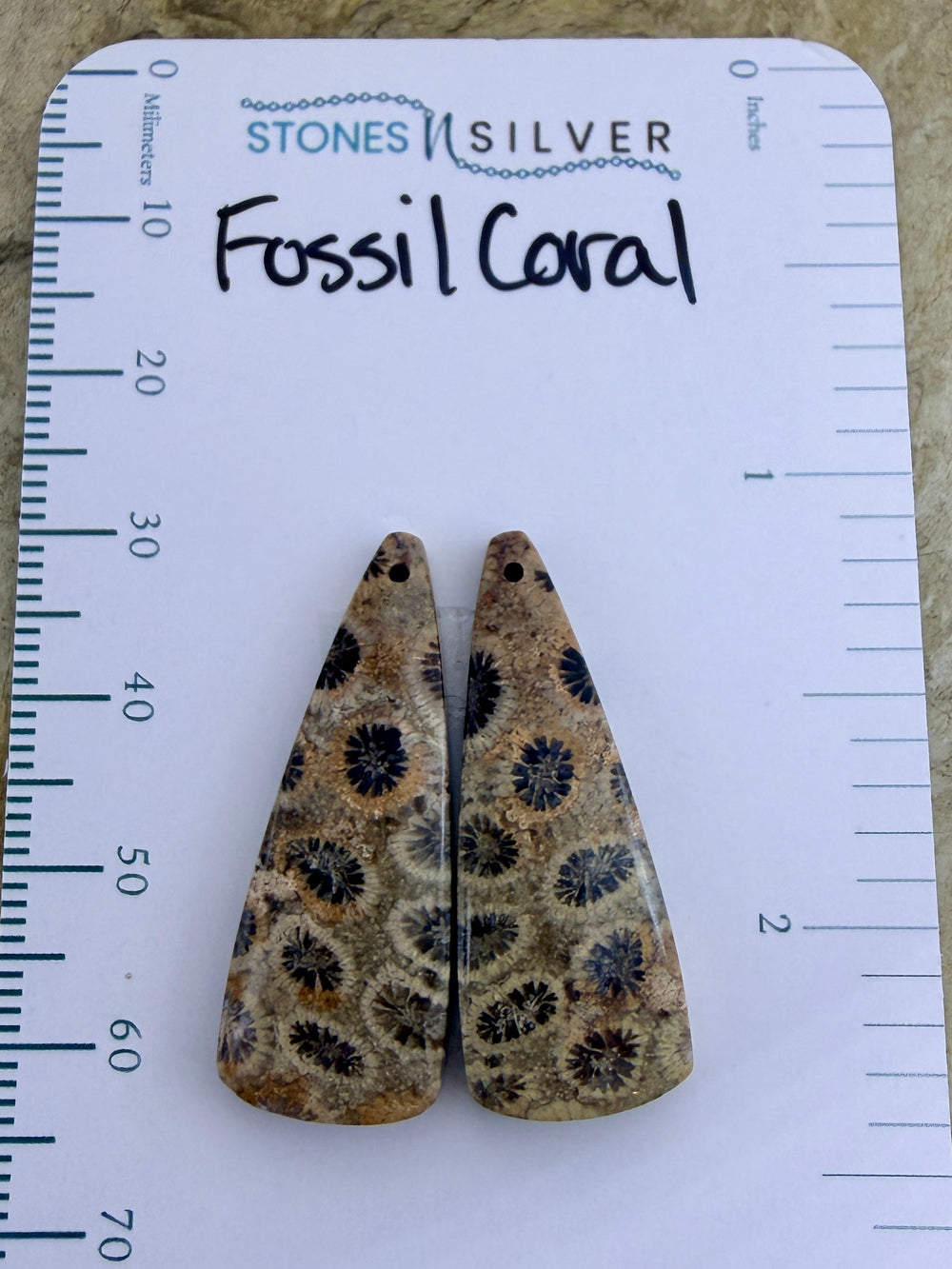 AAA+ Fossil Coral Matching Earring Slab Bead Pair 11x30mm