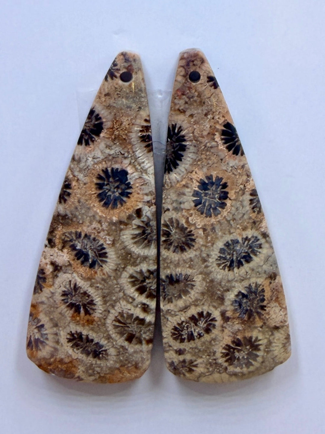 AAA+ Fossil Coral Matching Earring Slab Bead Pair 11x30mm