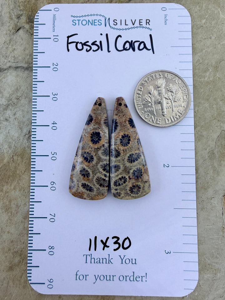 AAA+ Fossil Coral Matching Earring Slab Bead Pair 11x30mm