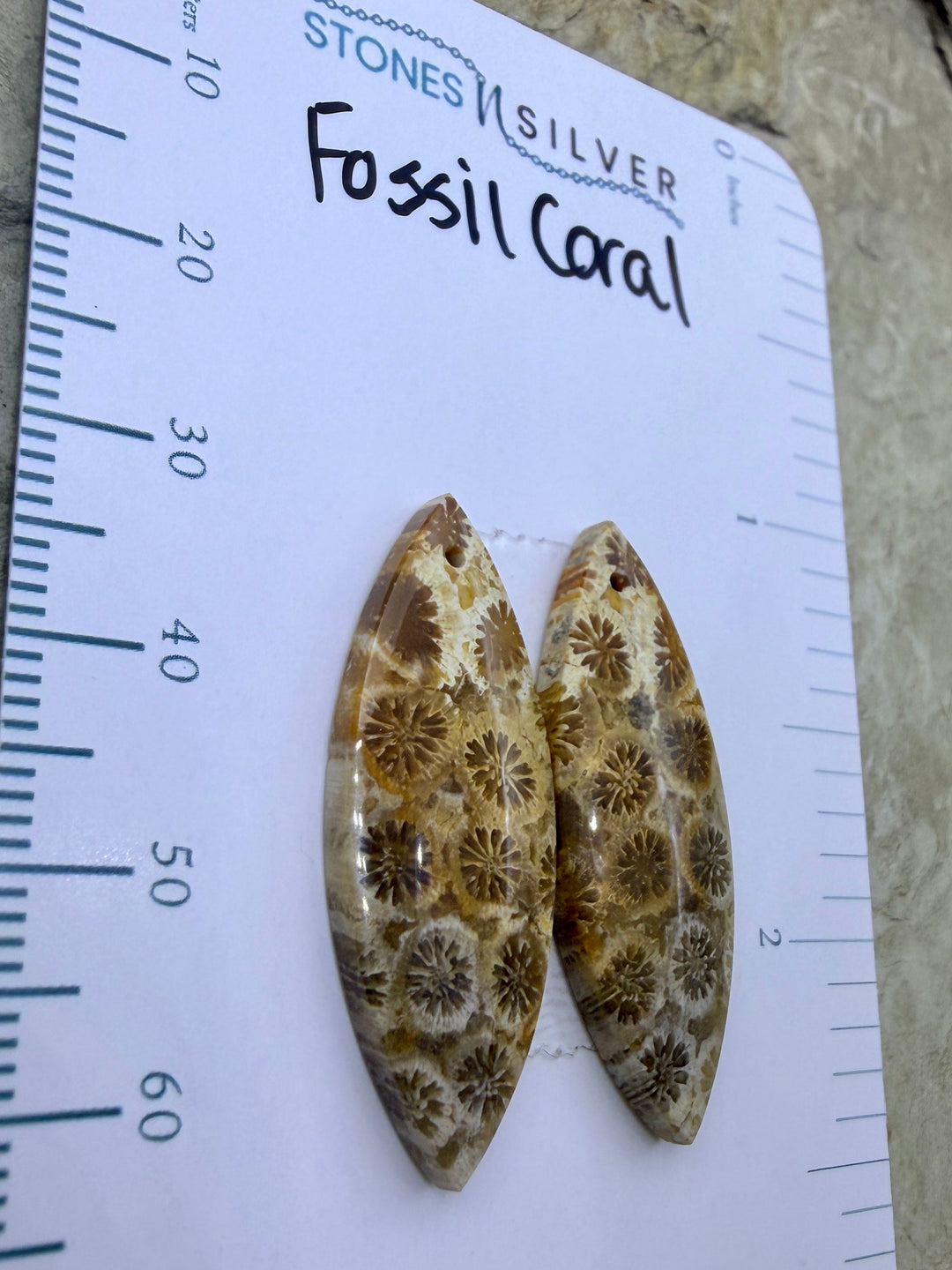 AAA+ Fossil Coral Matching Earring Slab Bead Pair 11x32mm