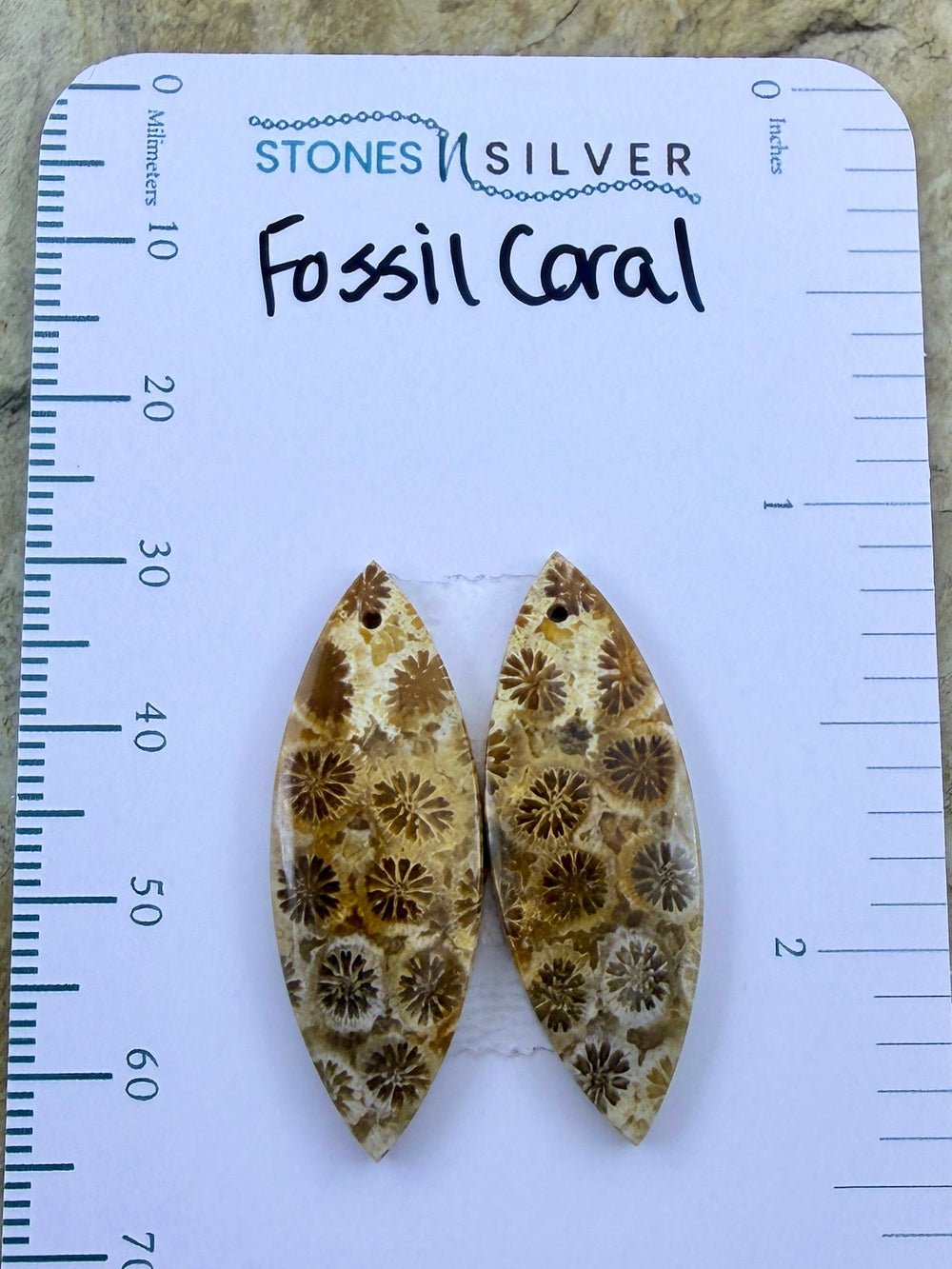 AAA+ Fossil Coral Matching Earring Slab Bead Pair 11x32mm